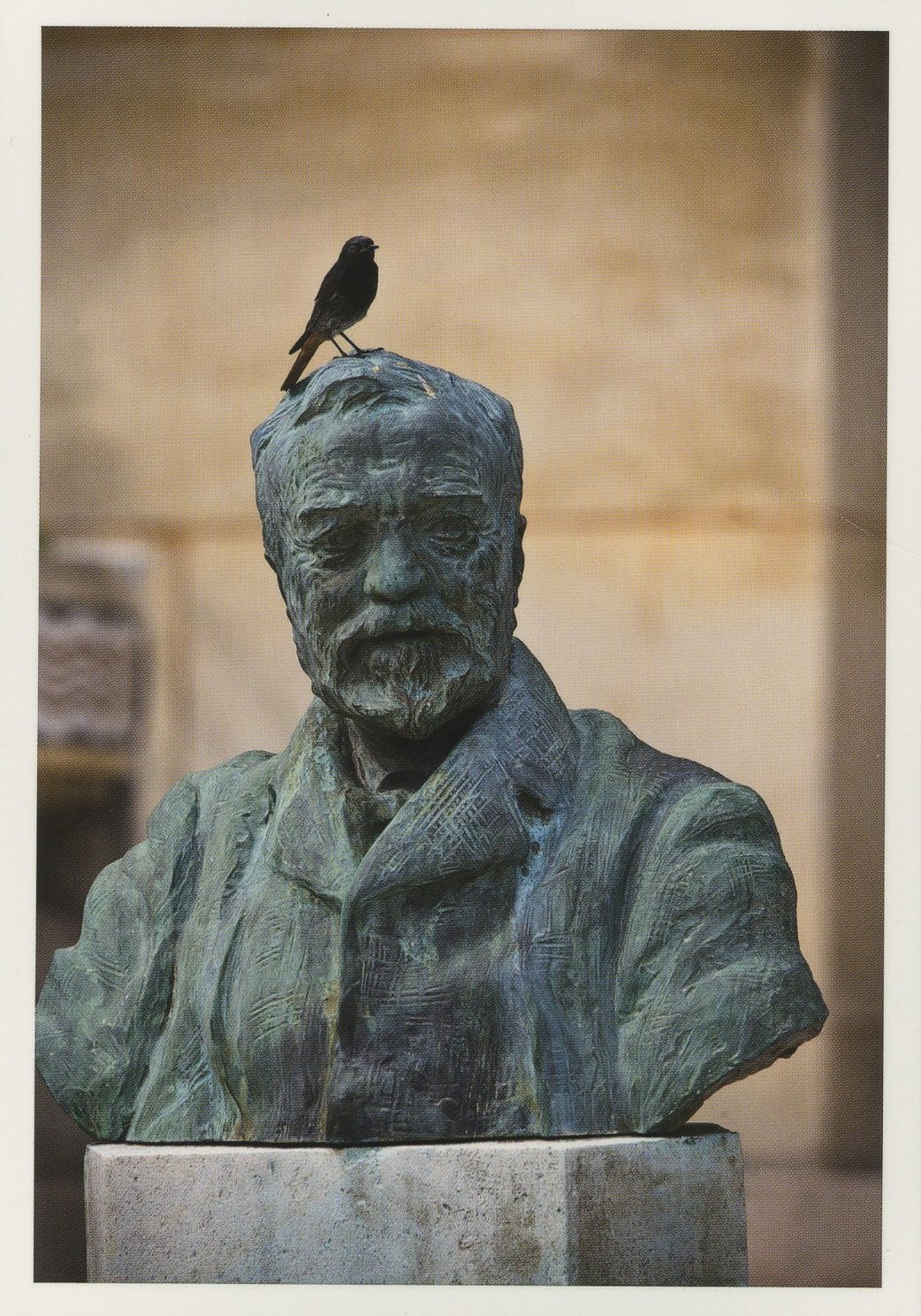 Carte postale du buste en bronze d’Andrew Carnegie 