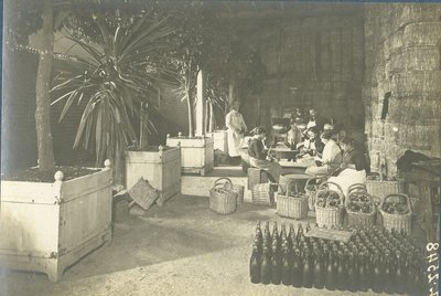 « Reims. Caves Pommery. La remise en cercle entre les orangers sauvés d’une serre », 20 octobre 1916 